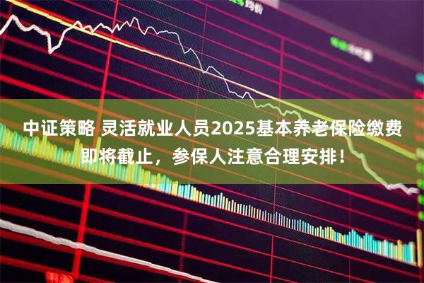 中证策略 灵活就业人员2025基本养老保险缴费即将截止，参保人注意合理安排！